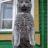 Фото пользователя